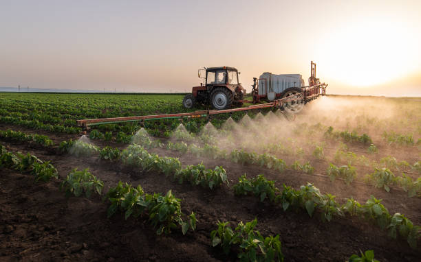 Best Pest Control Cost  in Tilden, NE