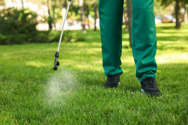 Best Pest Removal Services  in Tilden, NE