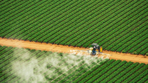 Best Commercial Pest Control Services  in Tilden, NE