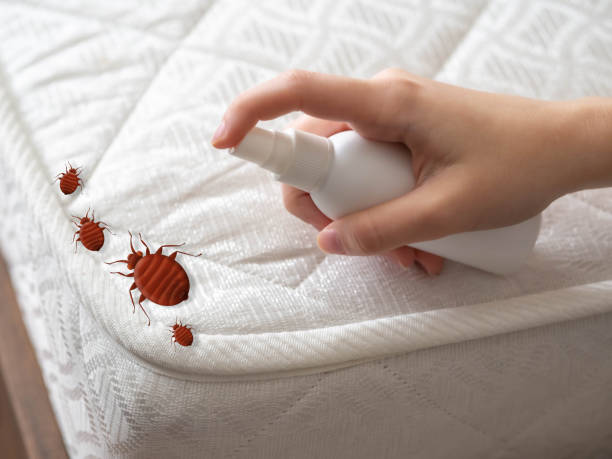 Pest Control Cost in Tilden, NE