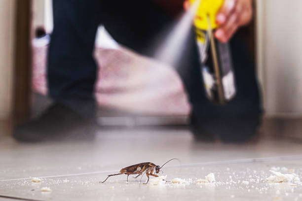 Best Cockroach Control Services  in Tilden, NE