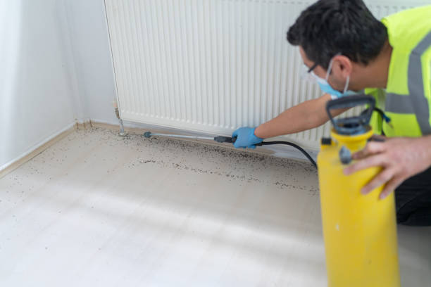 Best Local Pest Control Services  in Tilden, NE